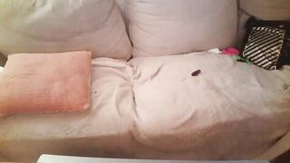 willy__d - Video self cocksucker couch moneytalks